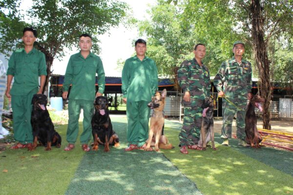 Làm thế nào để chọn được trường huấn luyện chó tại Sài Gòn uy tín và chất lượng