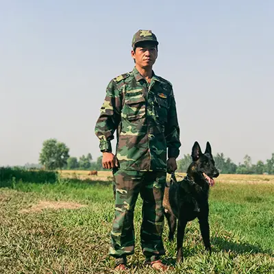 Mua Bán Chó Malinois Thuần Chủng